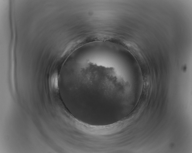 X0000092060046200709191151