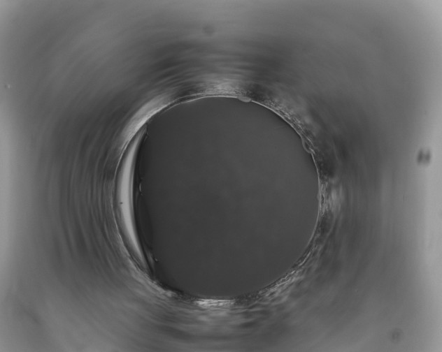 X0000092060051200709191151