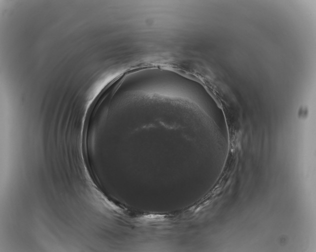 X0000092060052200709191151