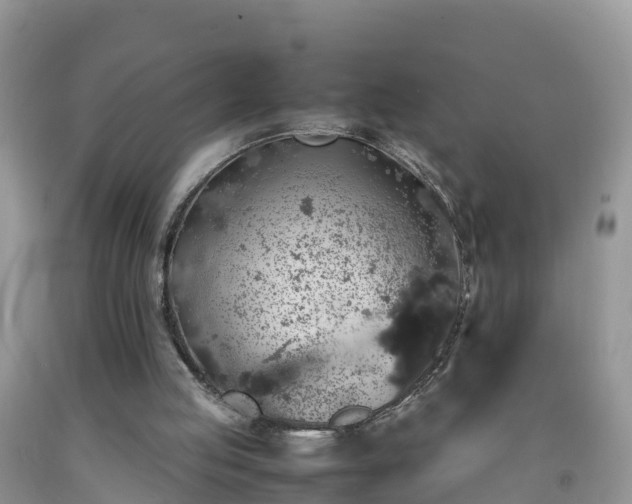 X0000092060053200709191151