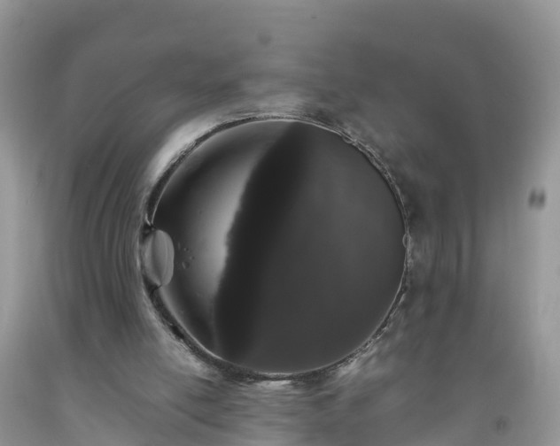 X0000092060054200709191151