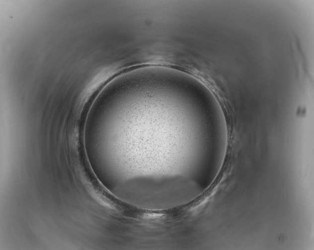 X0000092060055200709191151