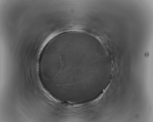 X0000092060056200709191151