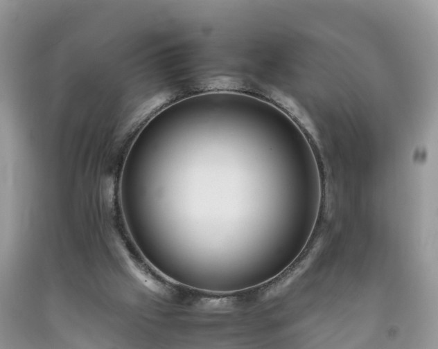 X0000092060057200709191151