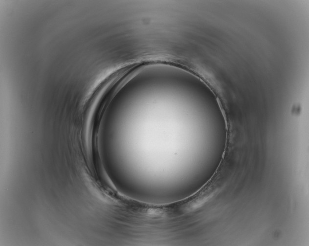 X0000092060060200709191151