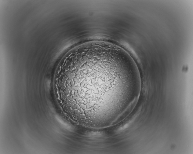 X0000092060063200709191151