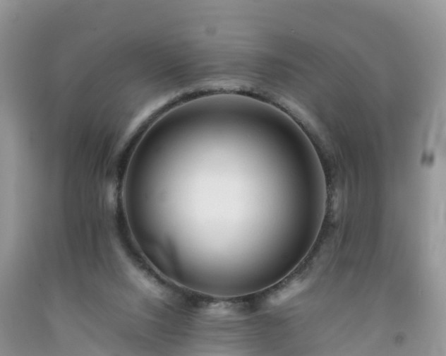 X0000092060064200709191151