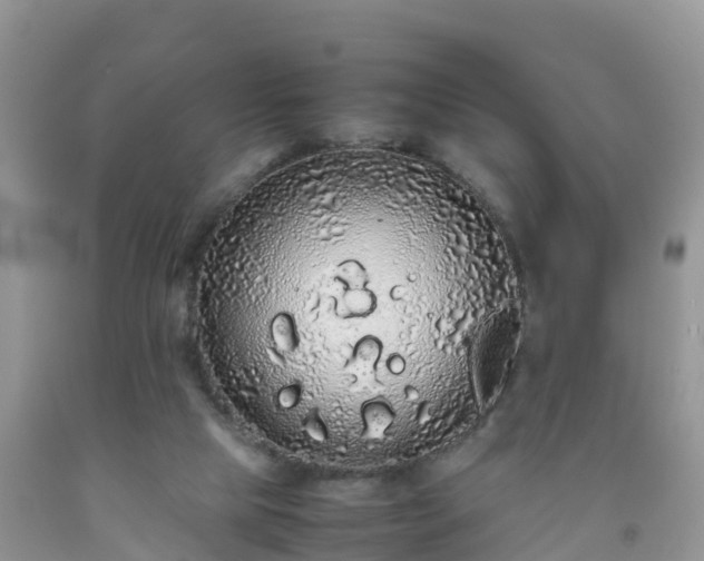 X0000092060065200709191151