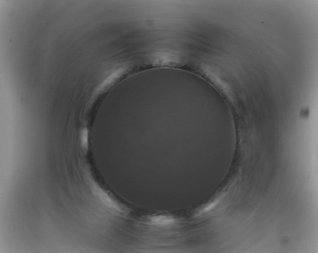 X0000092060067200709191151