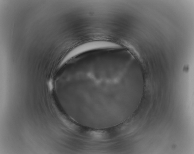 X0000092060069200709191151