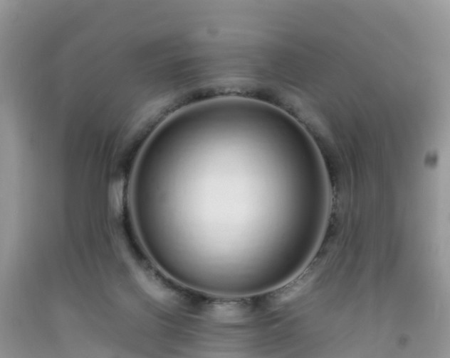 X0000092060070200709191151