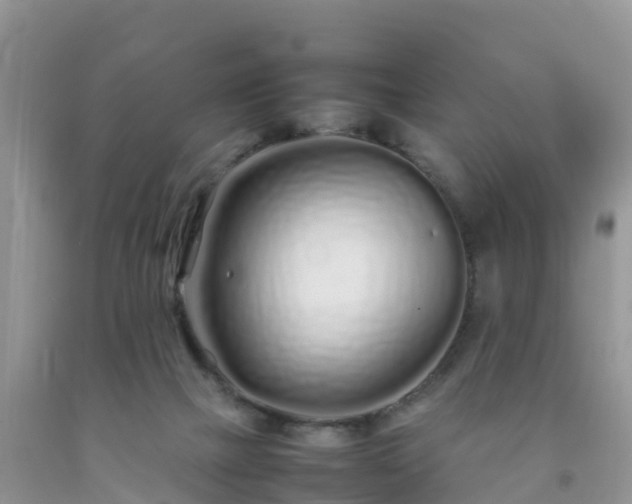 X0000092060073200709191151