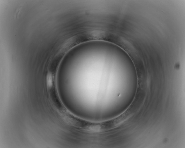 X0000092060075200709191151