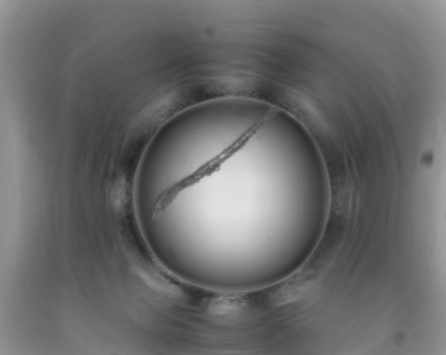 X0000092060077200709191151