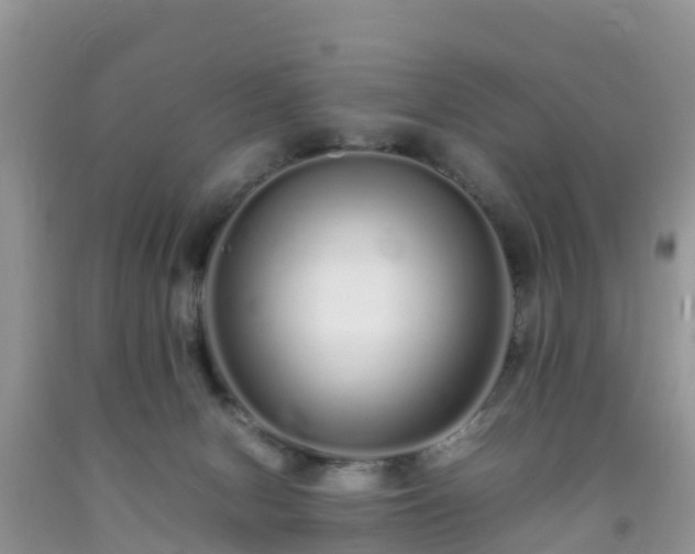 X0000092060078200709191151