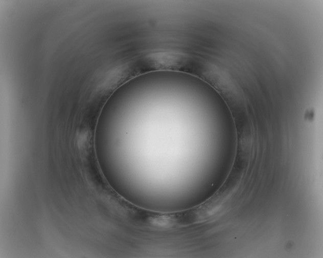 X0000092060079200709191151