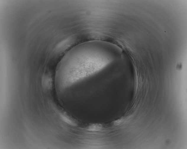 X0000092060080200709191151