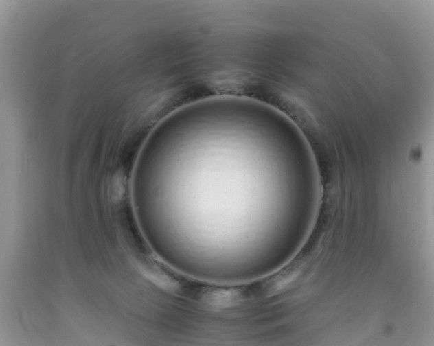 X0000092060081200709191151