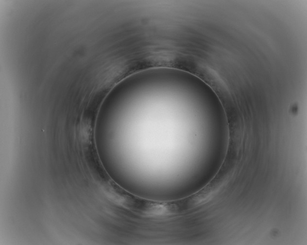 X0000092060083200709191151