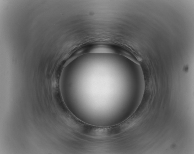 X0000092060084200709191151