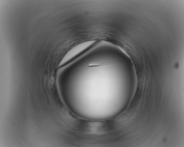 X0000092060085200709191151