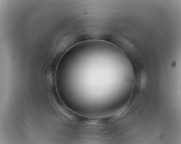 X0000092060086200709191151