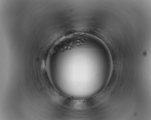 X0000092060089200709191151