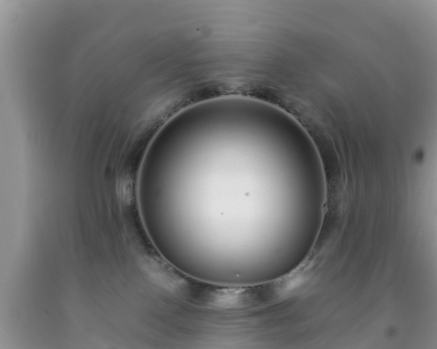 X0000092060090200709191151