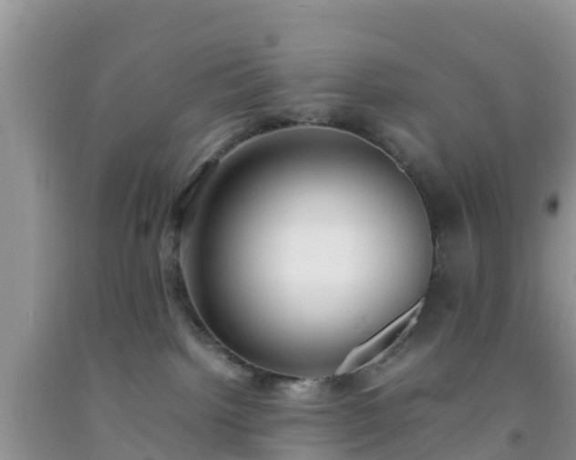 X0000092060092200709191151