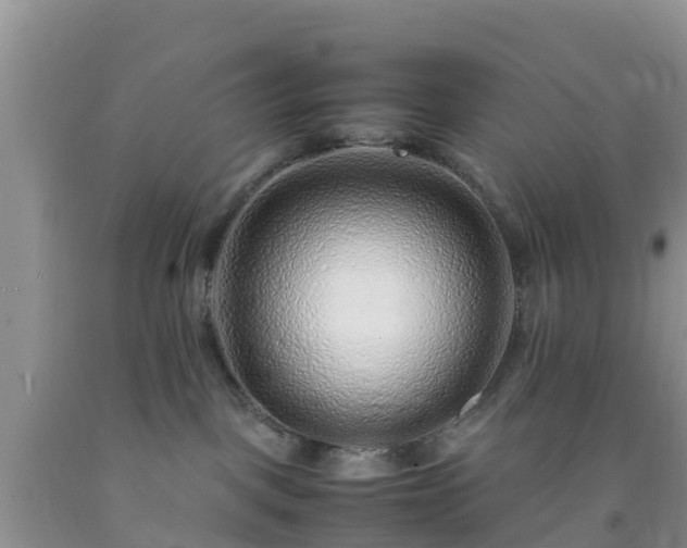 X0000092060093200709191151