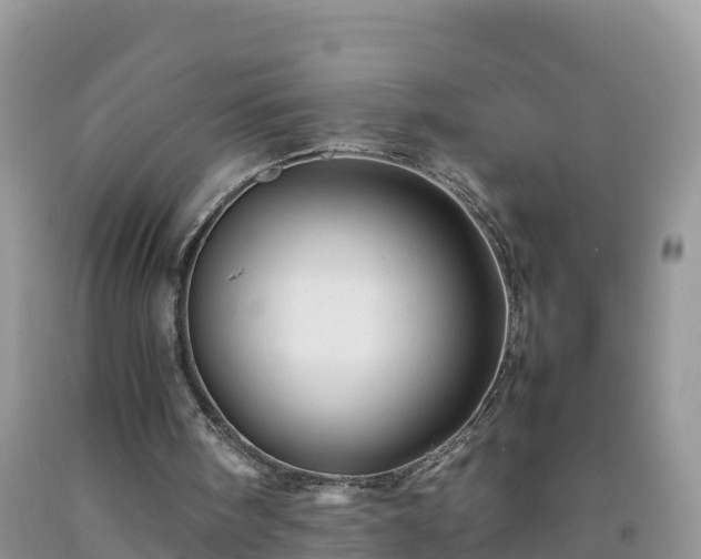 X0000092060098200709191151