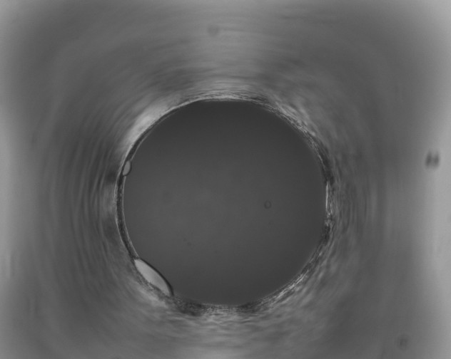 X0000092060099200709191151