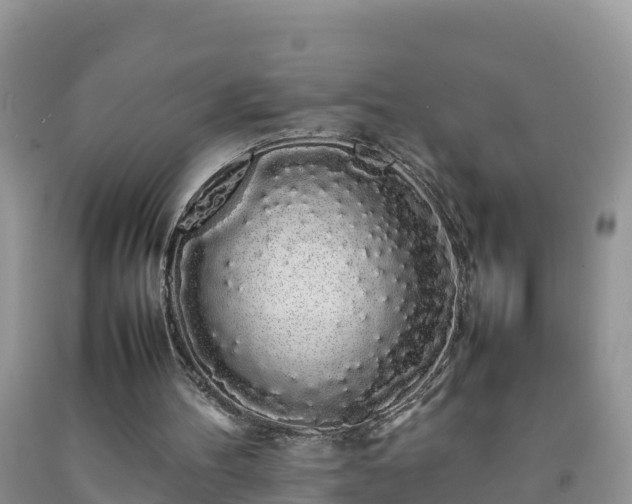 X0000092060100200709191151