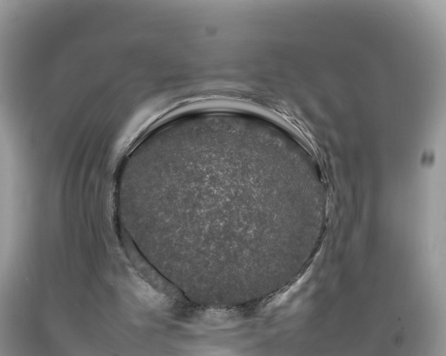 X0000092060101200709191151