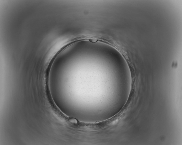 X0000092060103200709191150