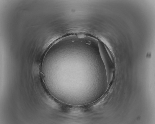 X0000092060105200709191150