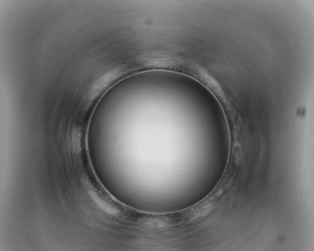 X0000092060106200709191150