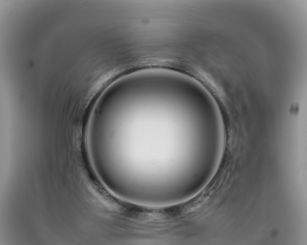 X0000092060107200709191150