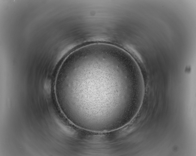 X0000092060108200709191150