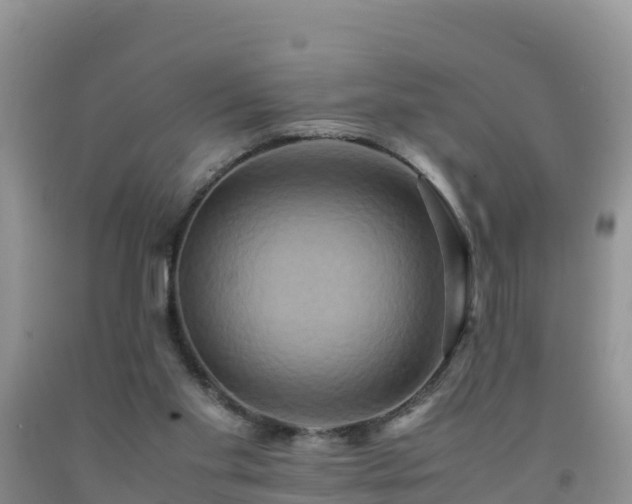 X0000092060109200709191150