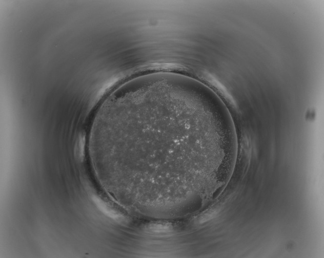 X0000092060110200709191150