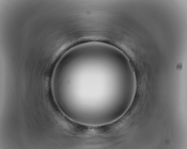 X0000092060111200709191150