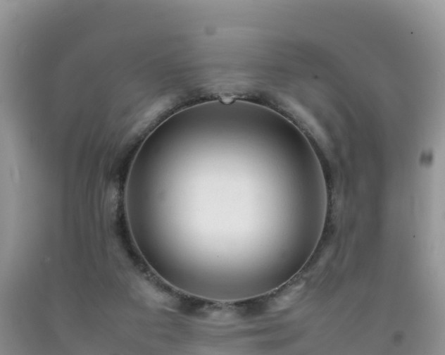 X0000092060113200709191150