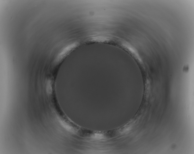 X0000092060114200709191150