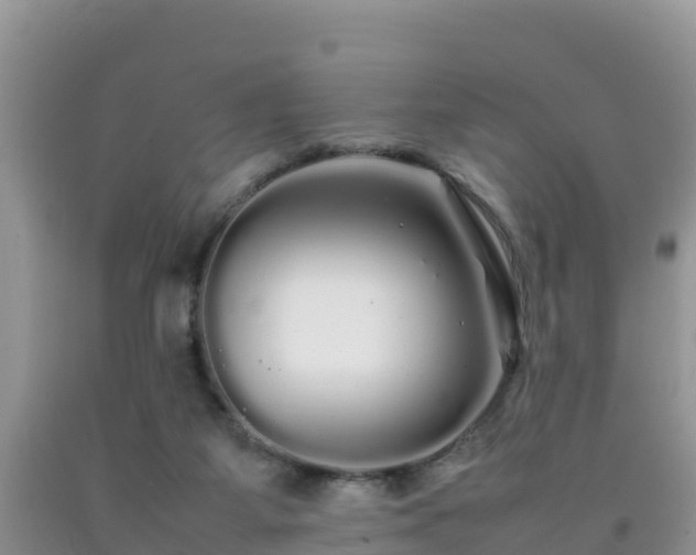 X0000092060115200709191150