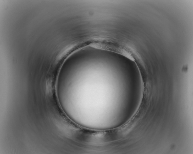 X0000092060116200709191150