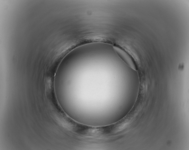 X0000092060117200709191150