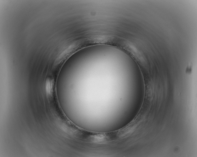 X0000092060118200709191150