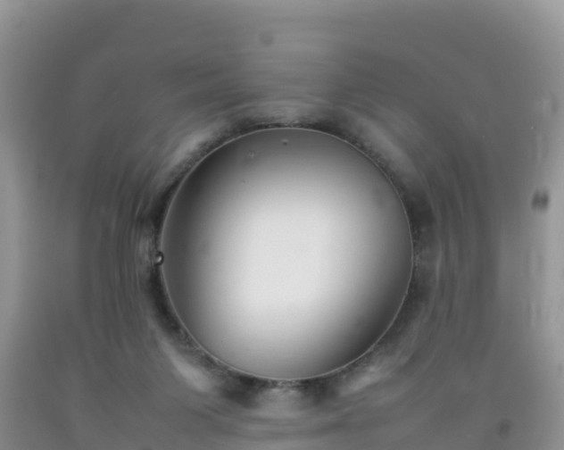 X0000092060119200709191150