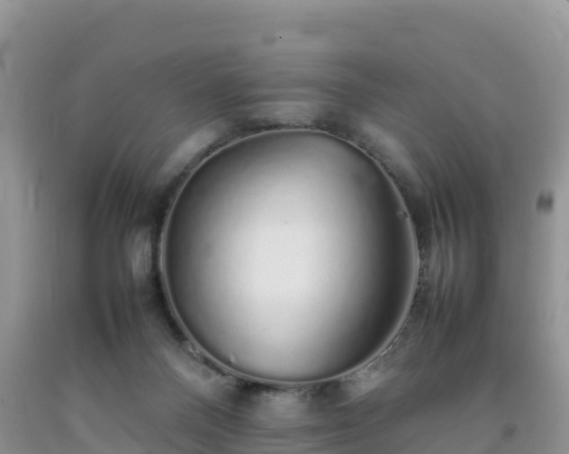 X0000092060120200709191150